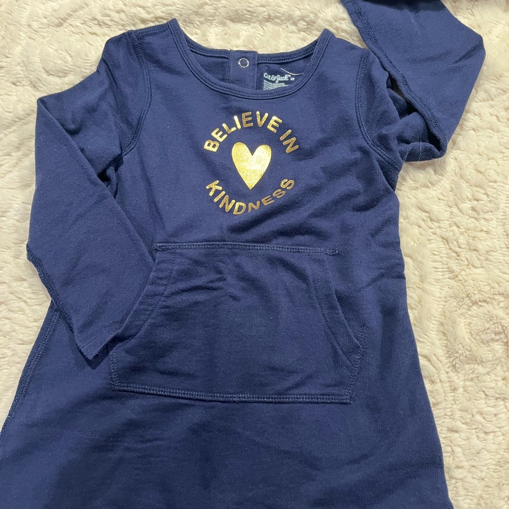 Cat and Jack 3T sweatshirt dress